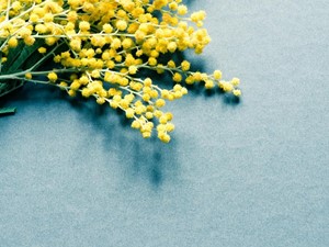 ¿Cómo afecta la primavera a tu boca?